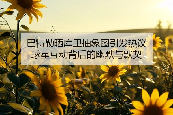 巴特勒晒库里抽象图引发热议 球星互动背后的幽默与默契